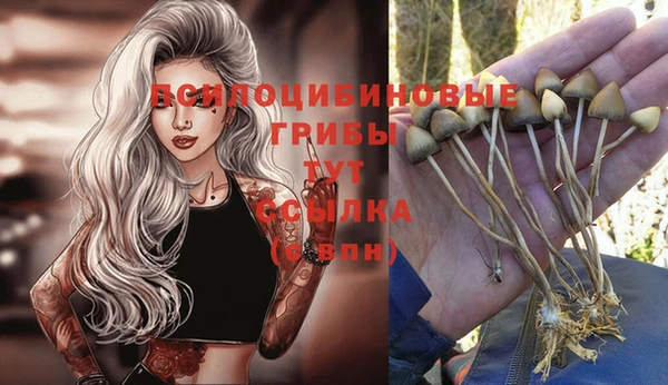 mix Баксан